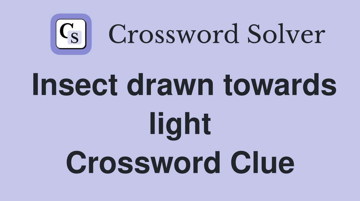 Insect drawn towards light Crossword Clue