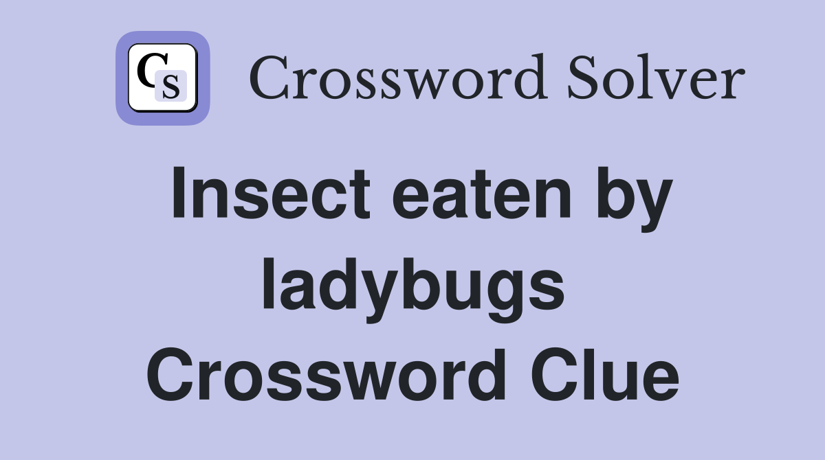 Insect eaten by ladybugs Crossword Clue