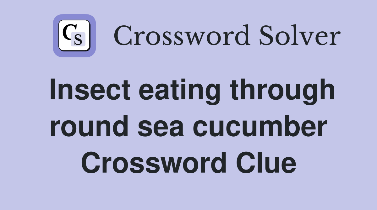 Insect eating through round sea cucumber Crossword Clue