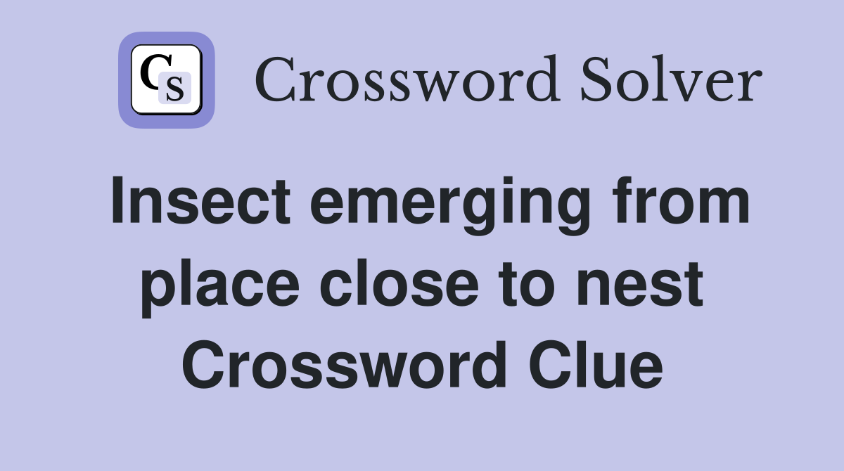 Insect emerging from place close to nest Crossword Clue