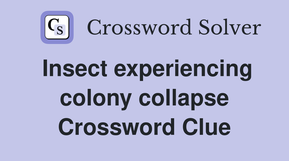 Insect experiencing colony collapse Crossword Clue