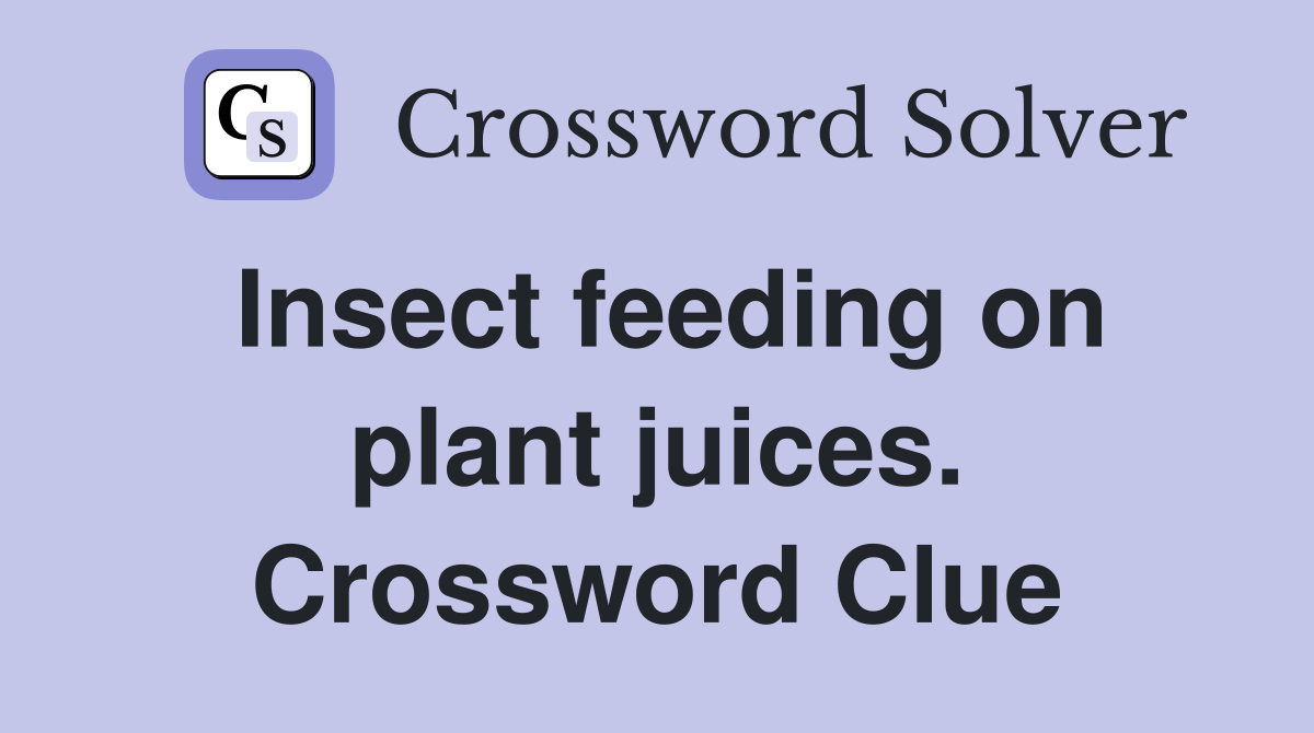Insect feeding on plant juices. Crossword Clue