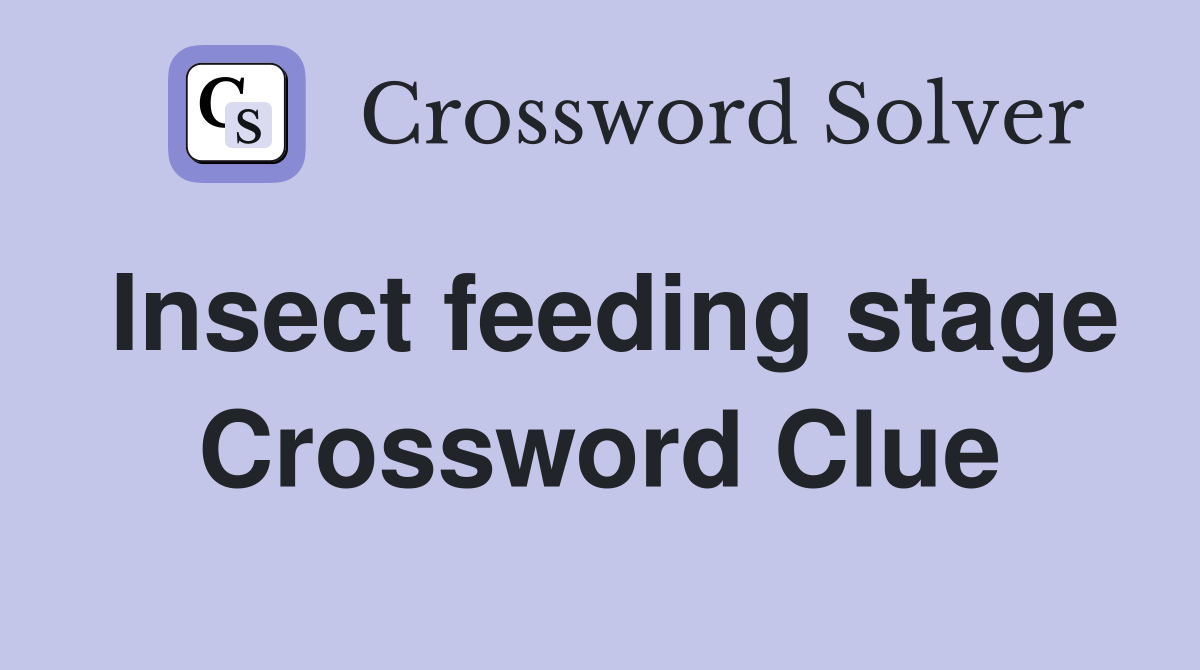 Insect feeding stage Crossword Clue
