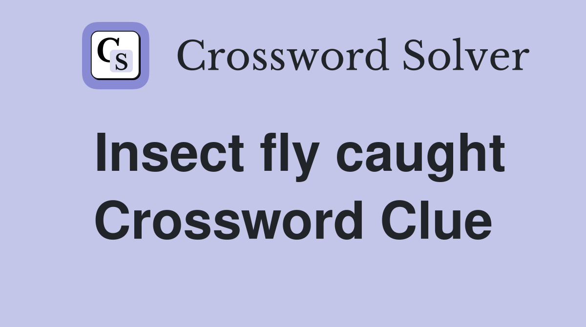 Insect fly caught Crossword Clue