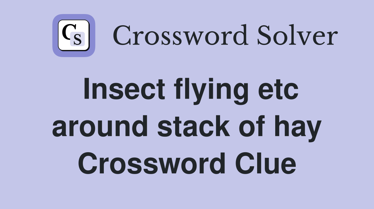 Insect flying etc around stack of hay Crossword Clue