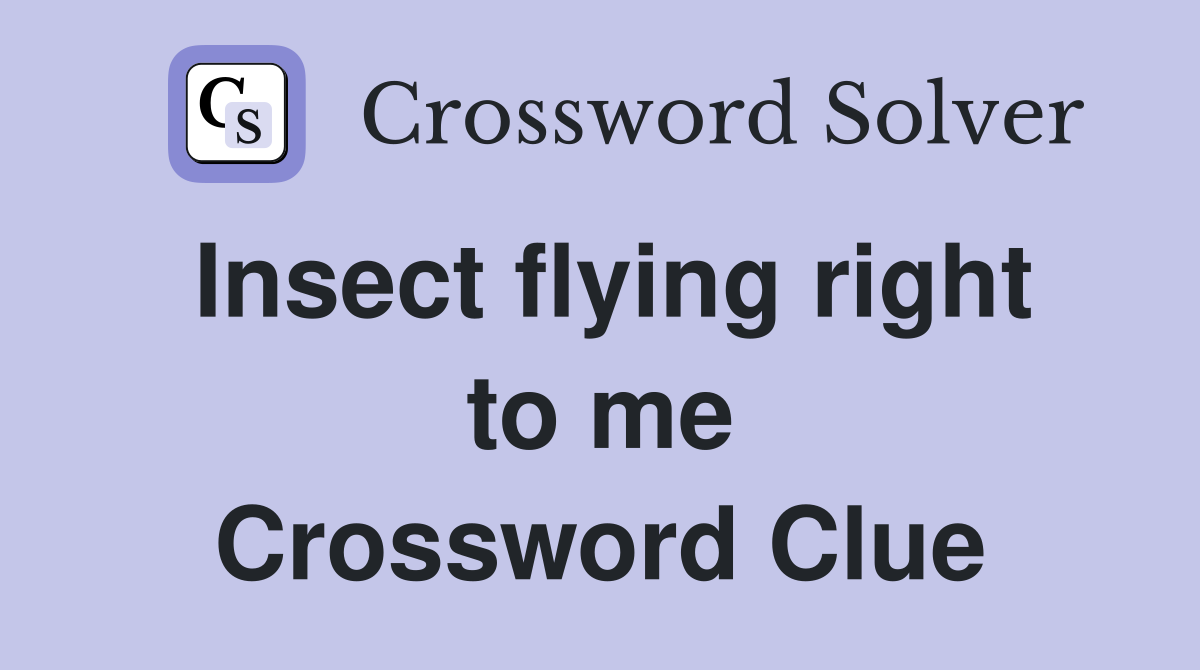 Insect flying right to me Crossword Clue