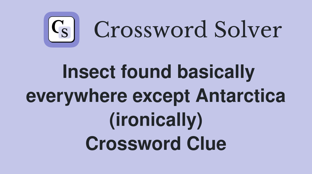 Insect found basically everywhere except Antarctica (ironically) Crossword Clue