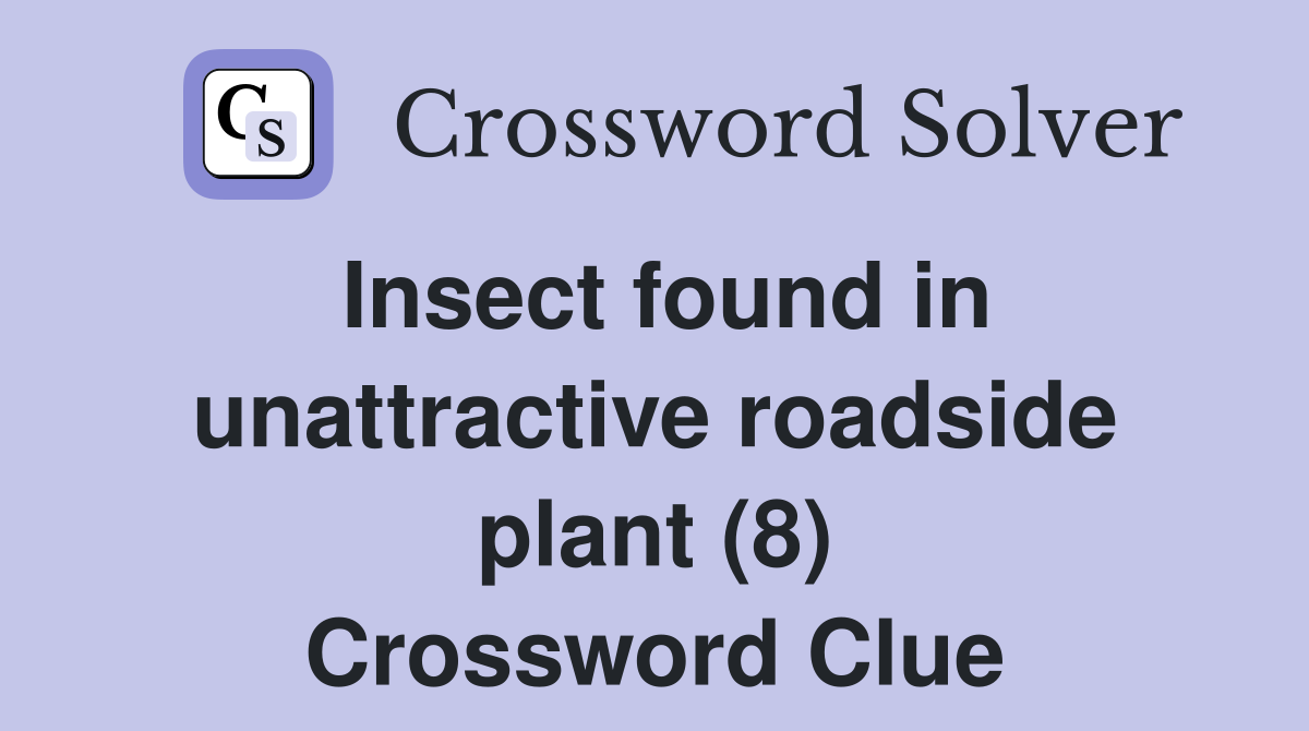 Insect found in unattractive roadside plant (8) Crossword Clue