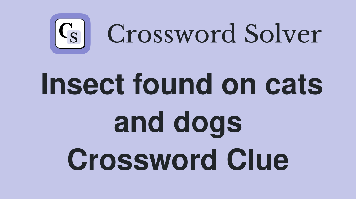 Insect found on cats and dogs Crossword Clue