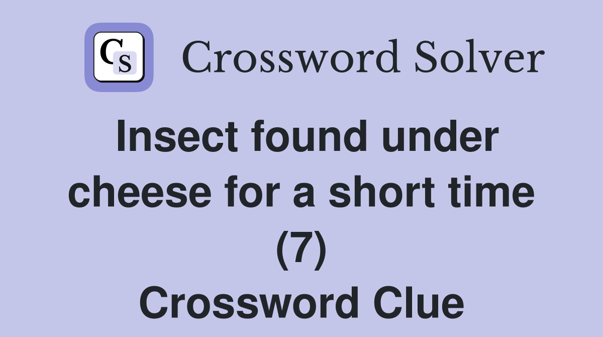 Insect found under cheese for a short time (7) Crossword Clue