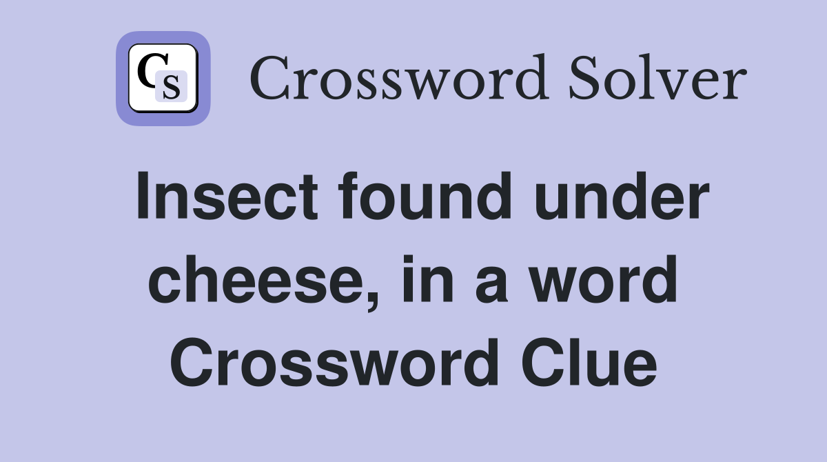 Insect found under cheese, in a word Crossword Clue