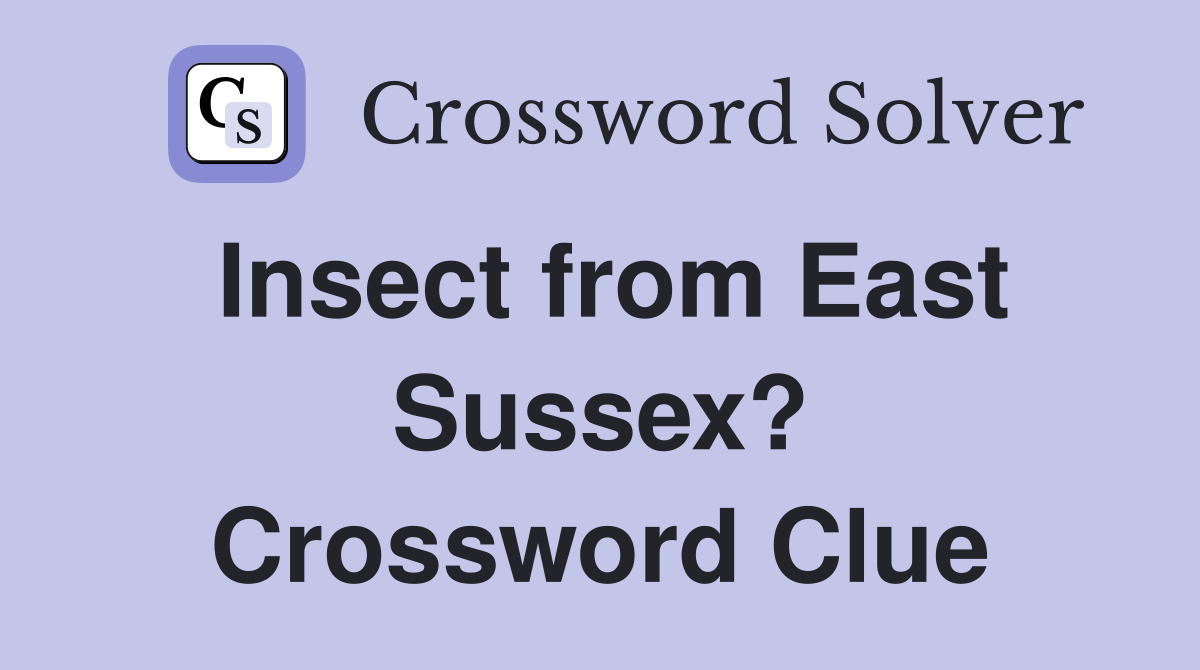 Insect from East Sussex? Crossword Clue