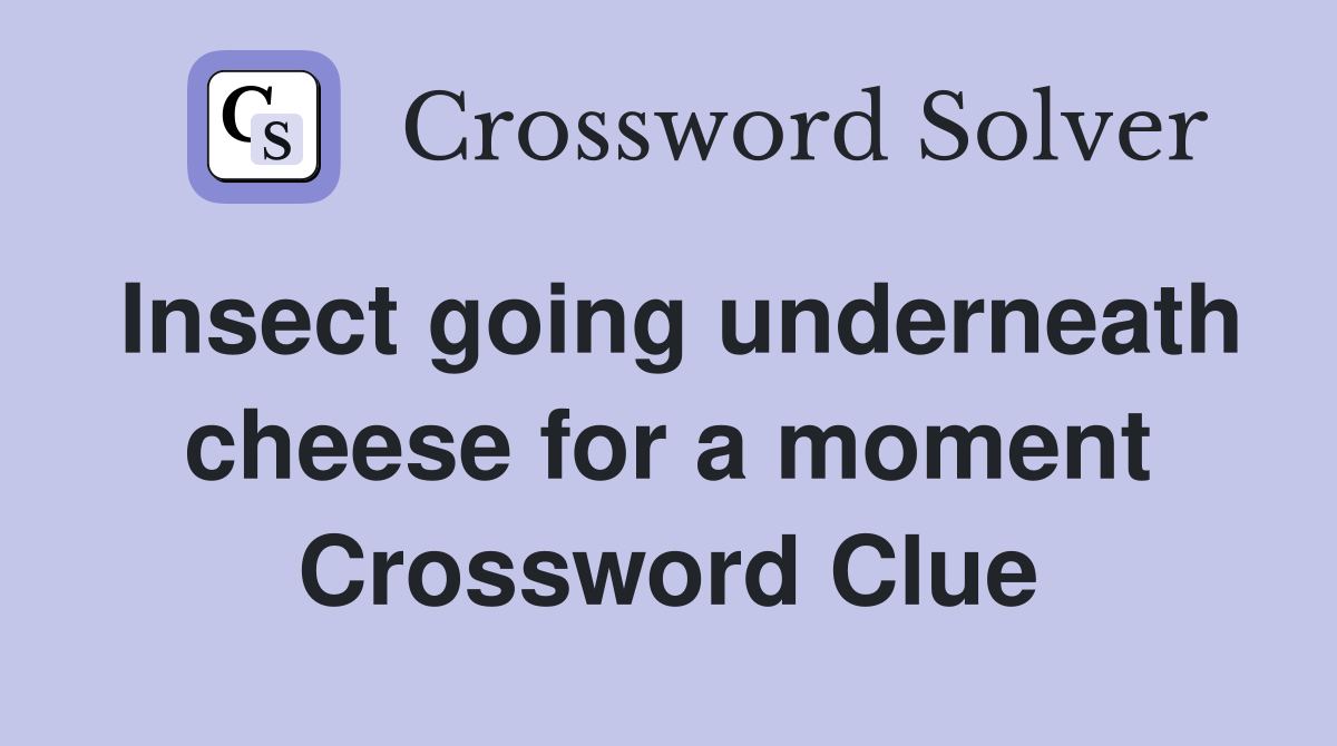 Insect going underneath cheese for a moment Crossword Clue