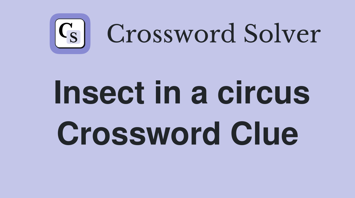 Insect in a circus Crossword Clue