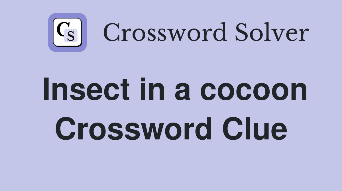 Insect in a cocoon Crossword Clue