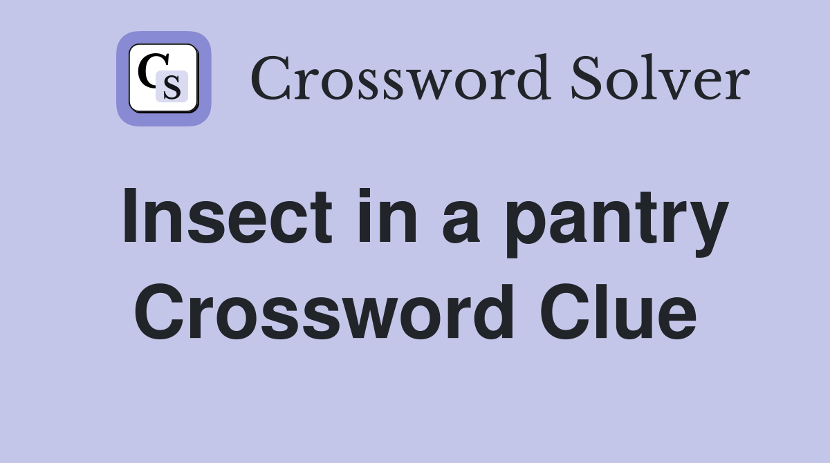 Insect in a pantry Crossword Clue
