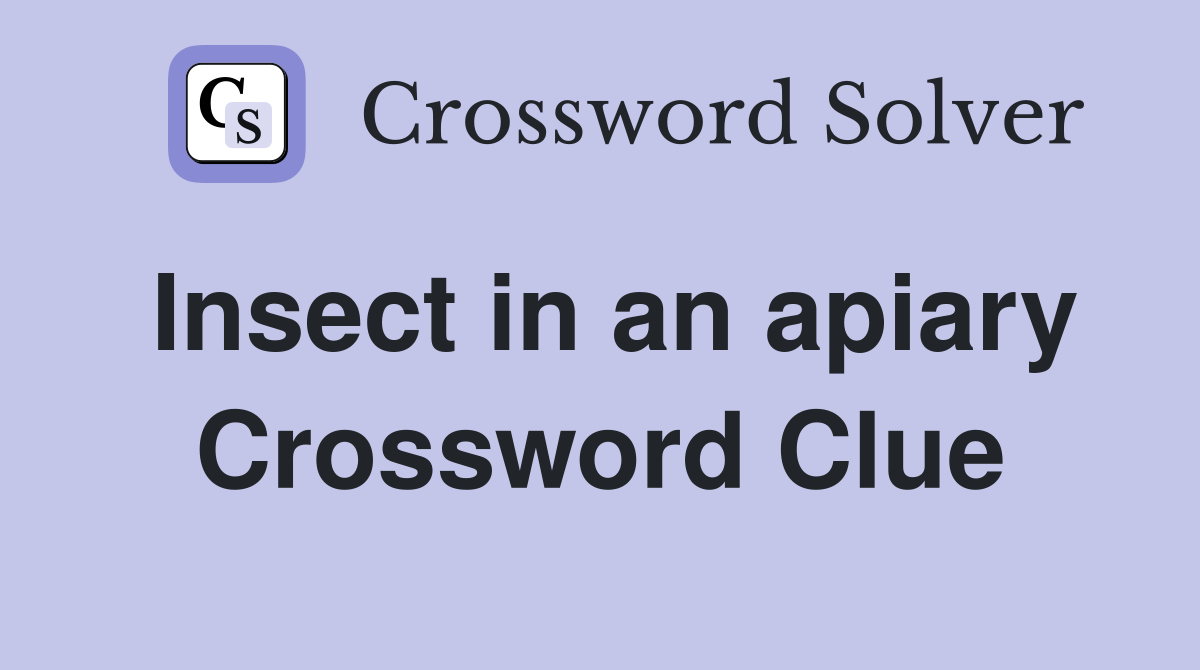 Insect in an apiary Crossword Clue