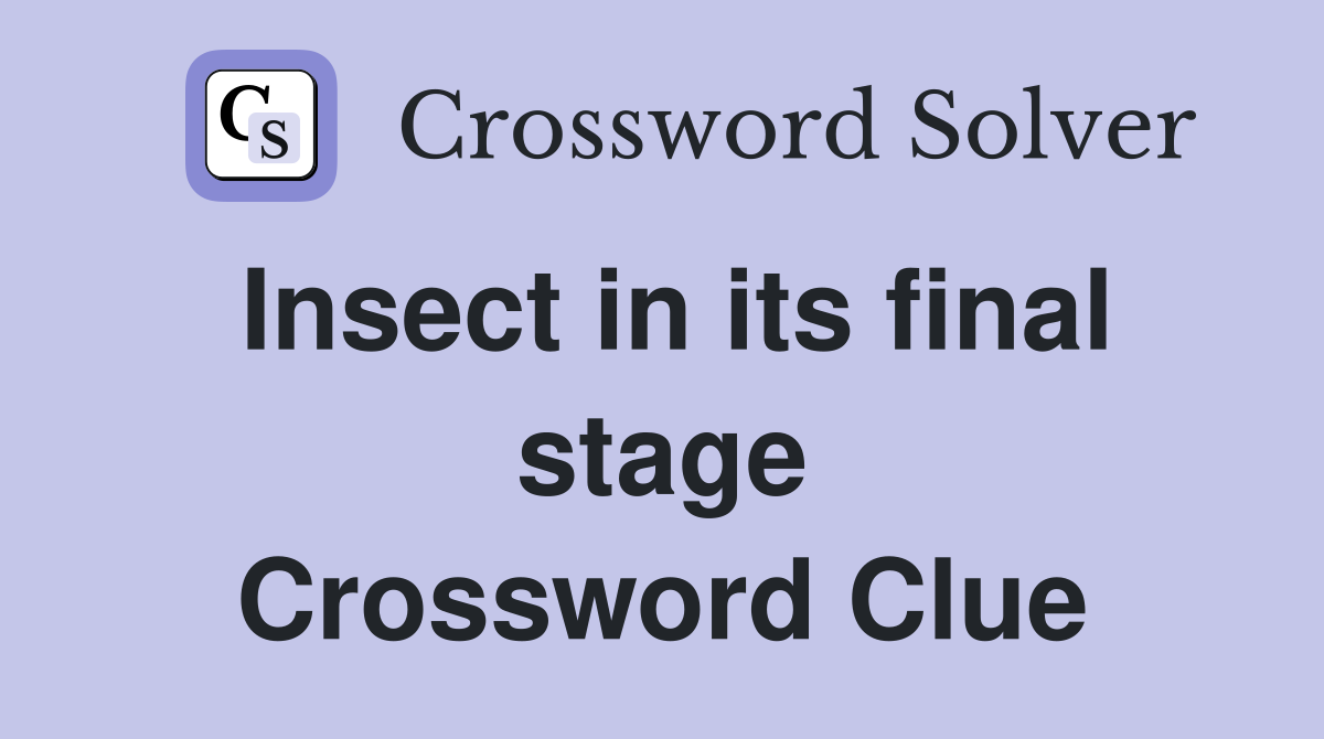 Insect in its final stage Crossword Clue