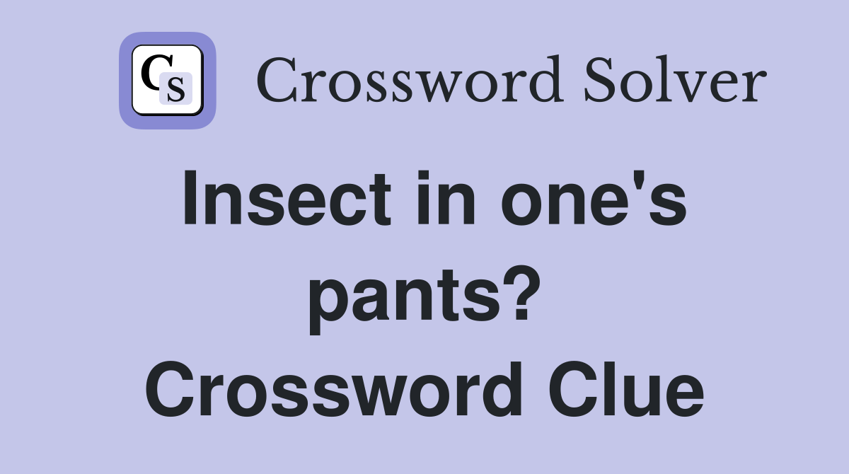Insect in one's pants? Crossword Clue