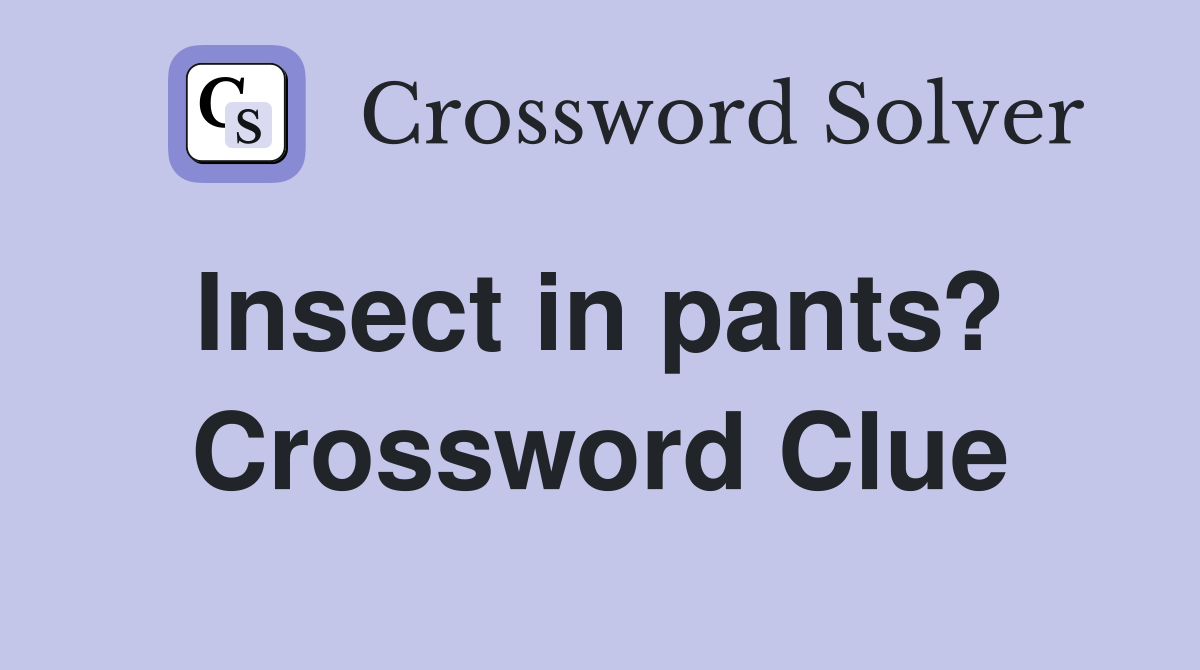 Insect in pants?  Crossword Clue