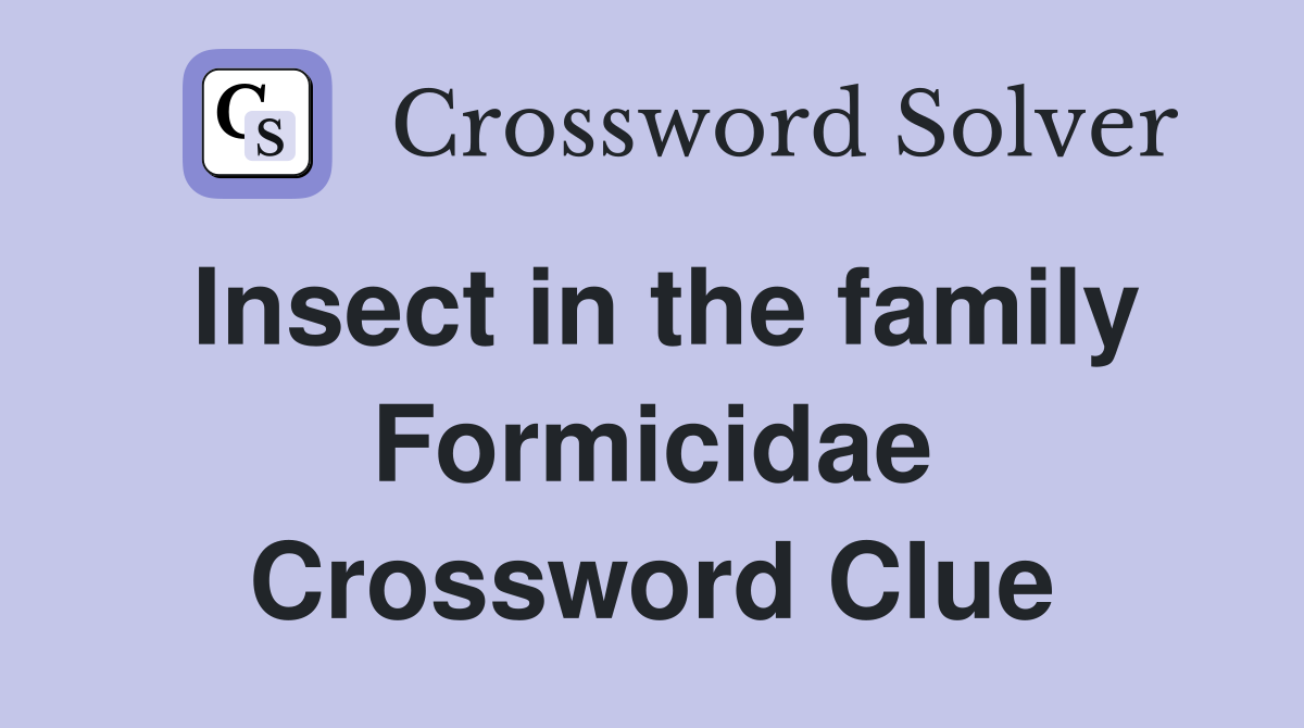 Insect in the family Formicidae Crossword Clue