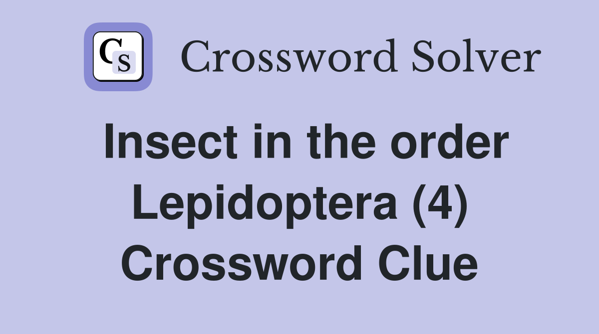 Insect in the order Lepidoptera (4) Crossword Clue