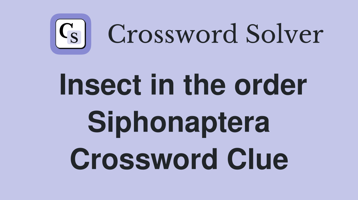 Insect in the order Siphonaptera Crossword Clue