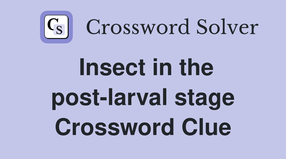 Insect in the post-larval stage Crossword Clue