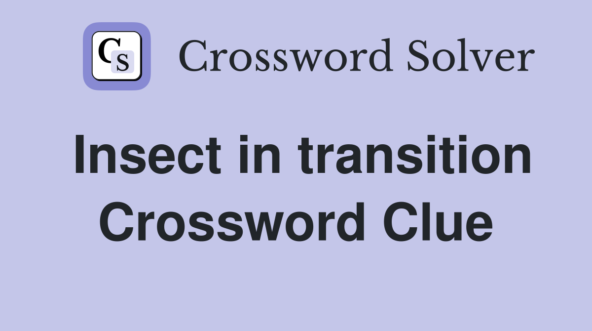Insect in transition Crossword Clue
