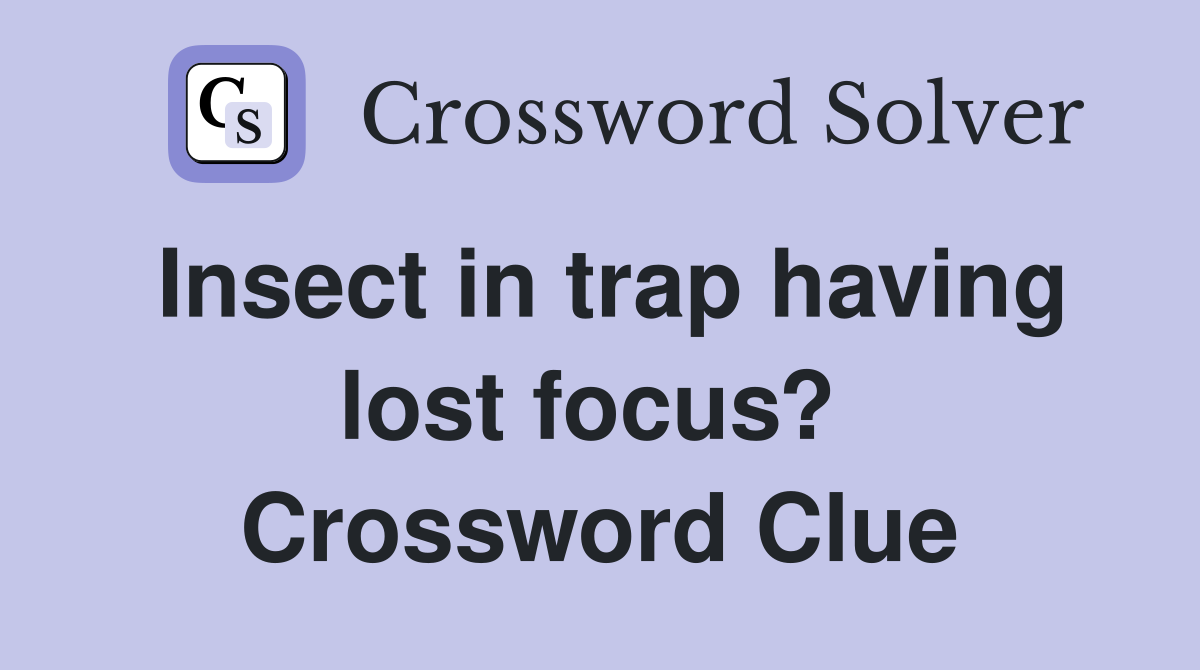 Insect in trap having lost focus?  Crossword Clue