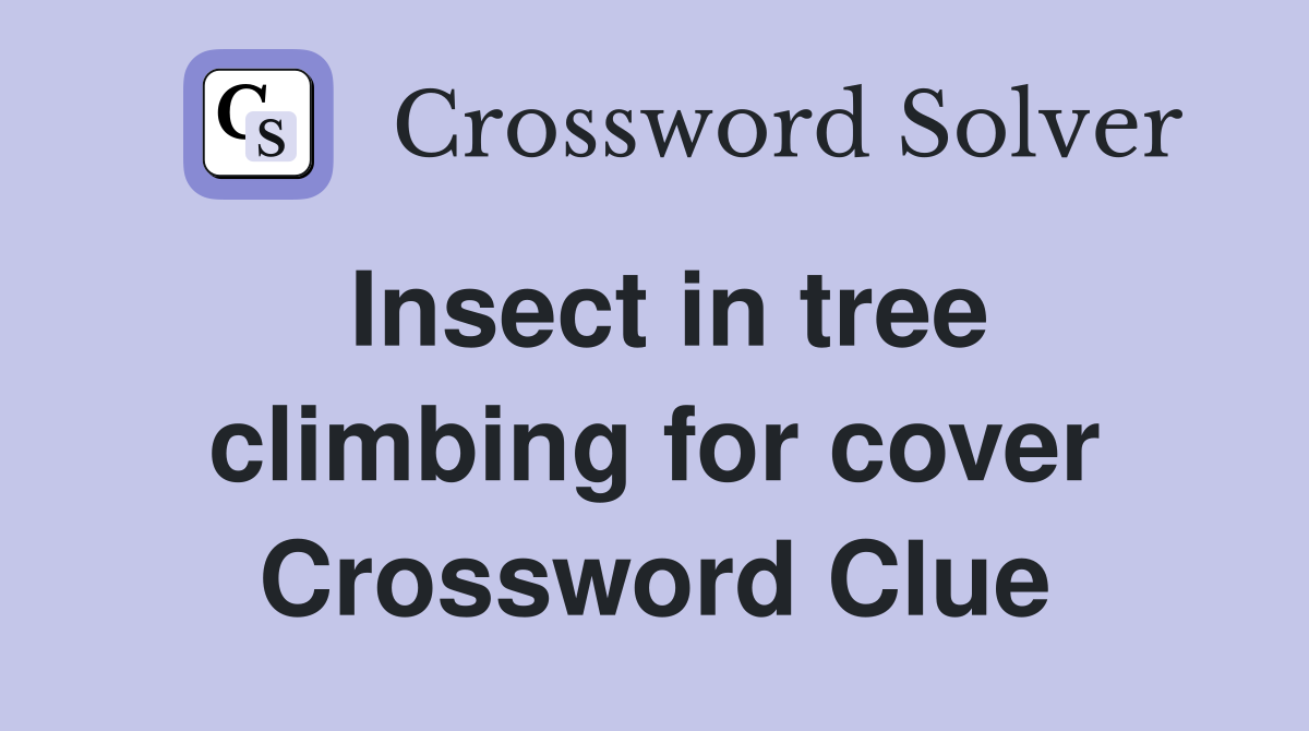 Insect in tree climbing for cover Crossword Clue