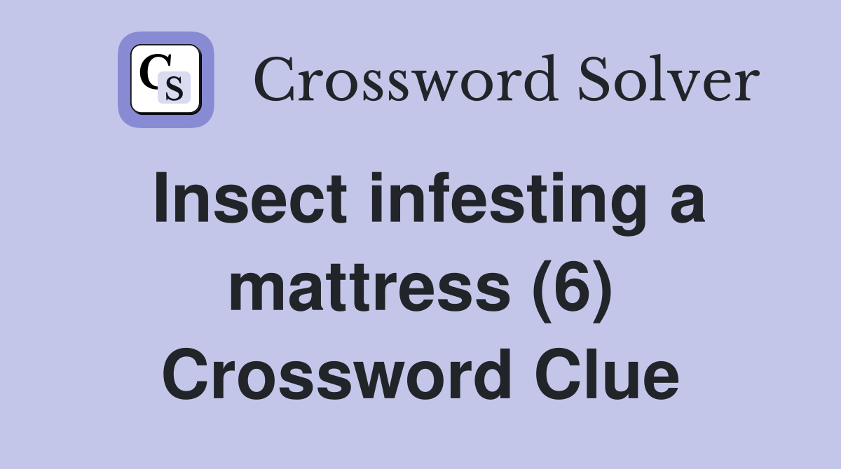 Insect infesting a mattress (6) Crossword Clue