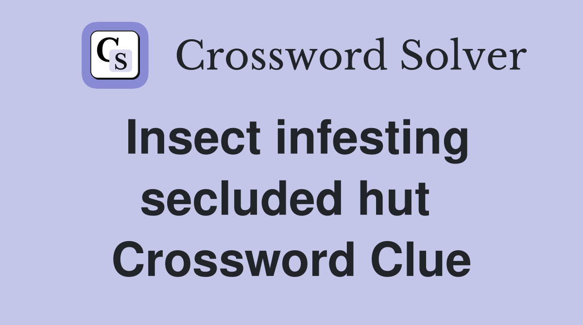 Insect infesting secluded hut  Crossword Clue