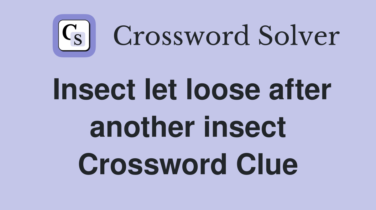 Insect let loose after another insect Crossword Clue