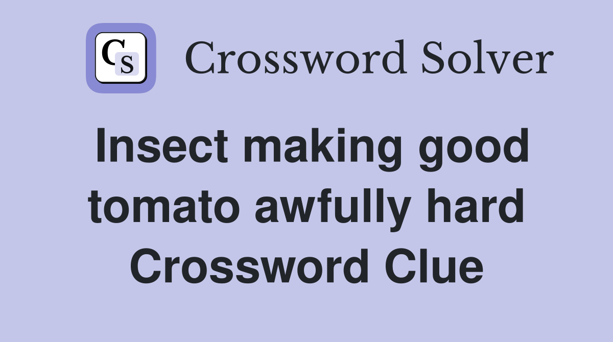 Insect making good tomato awfully hard Crossword Clue