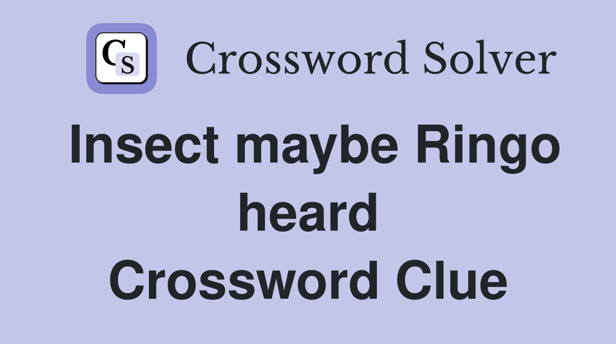 Insect maybe Ringo heard Crossword Clue