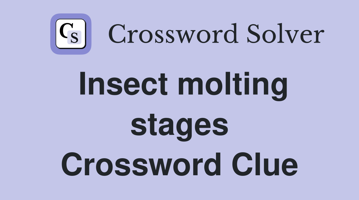 Insect molting stages Crossword Clue