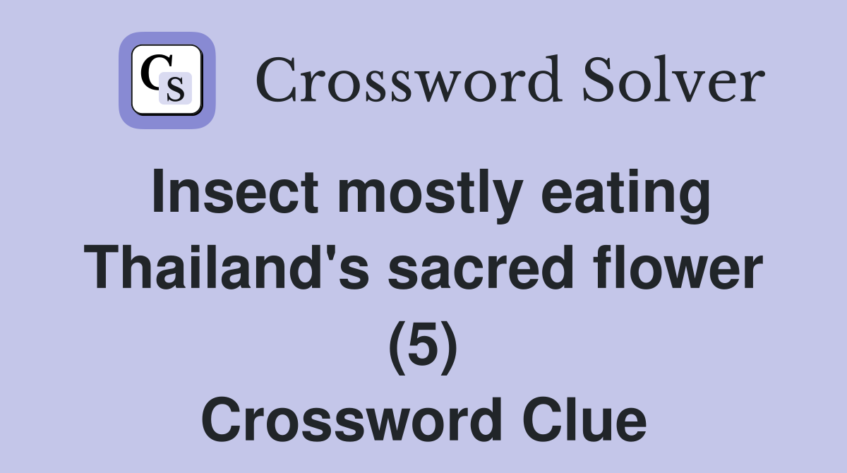 Insect mostly eating Thailand's sacred flower (5) Crossword Clue