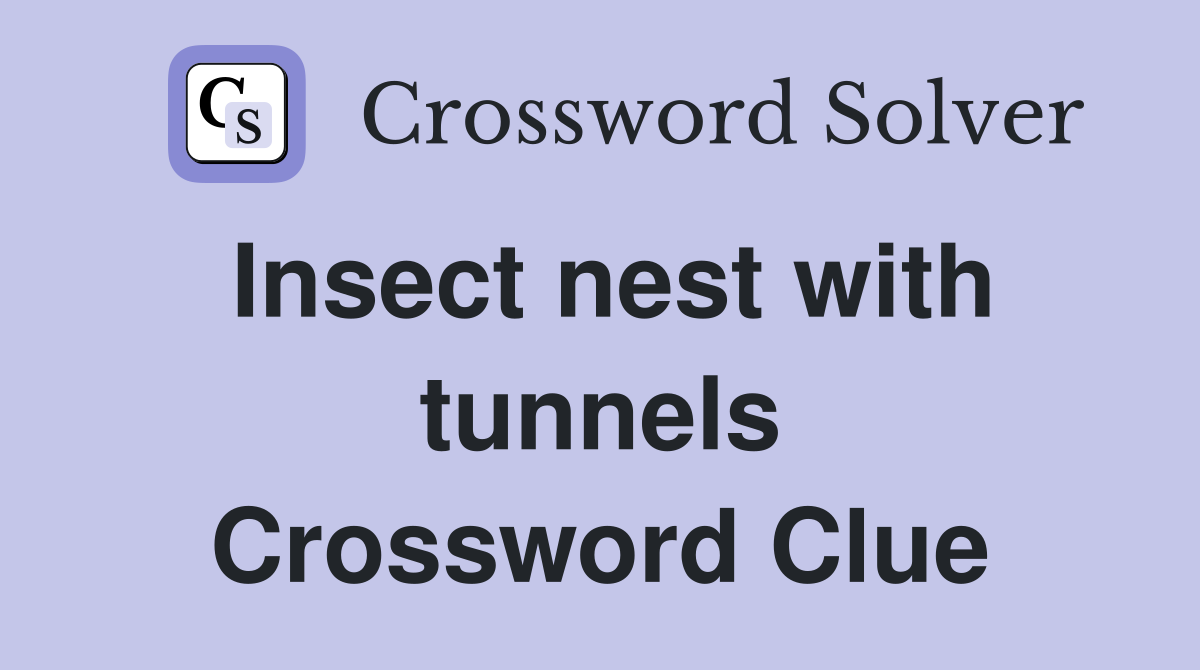 Insect nest with tunnels Crossword Clue