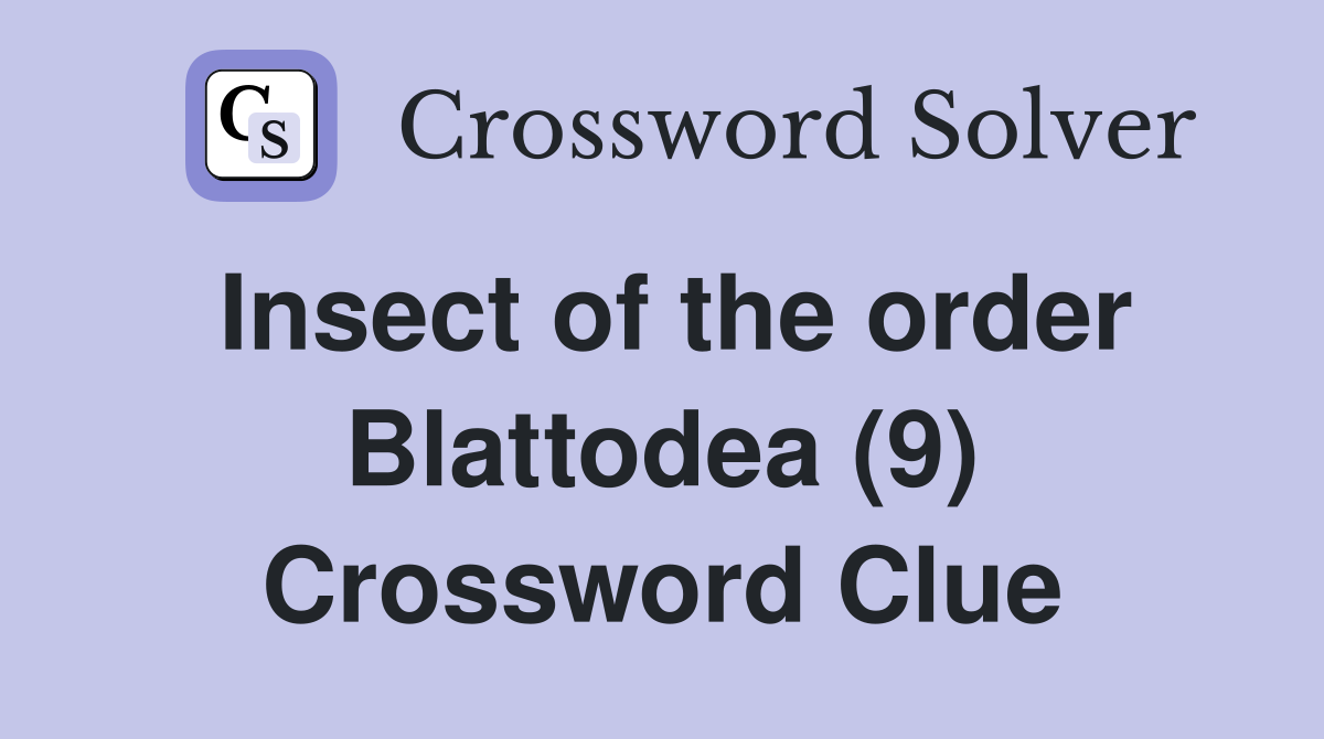 Insect of the order Blattodea (9) Crossword Clue