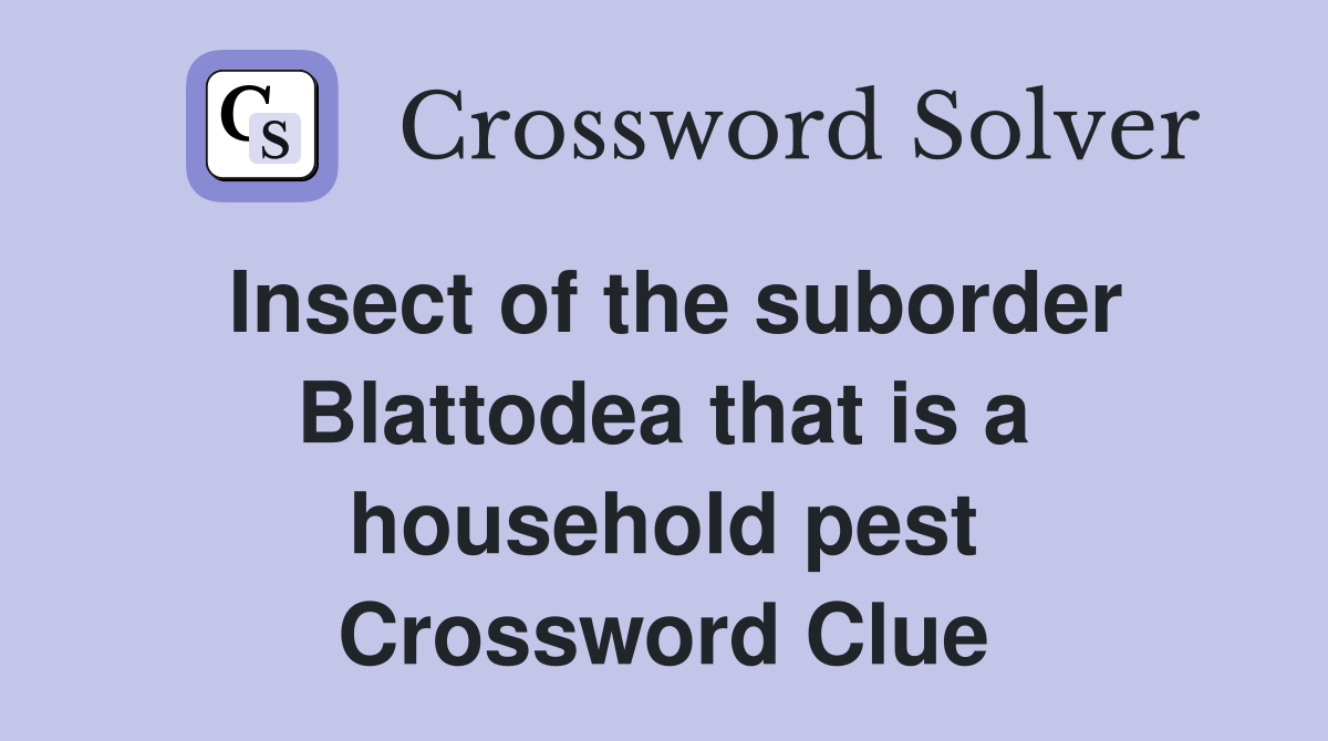 Insect of the suborder Blattodea that is a household pest Crossword Clue