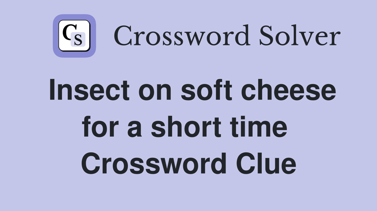 Insect on soft cheese for a short time  Crossword Clue