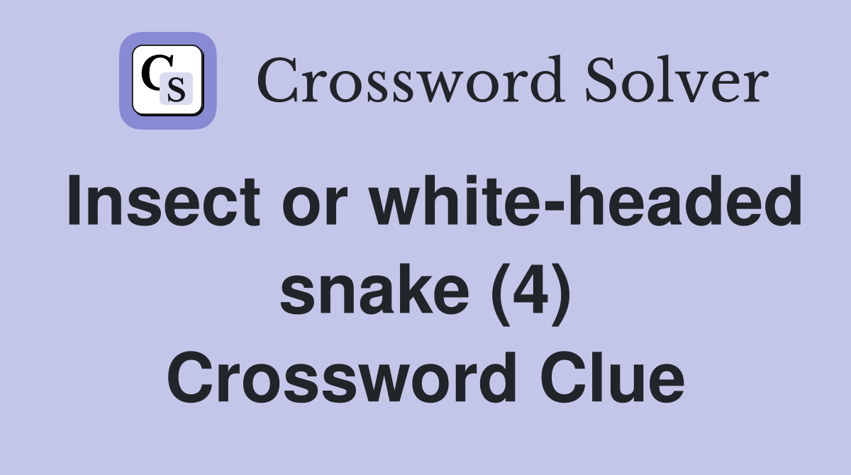 Insect or white-headed snake (4) Crossword Clue