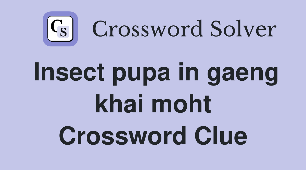 Insect pupa in gaeng khai moht Crossword Clue