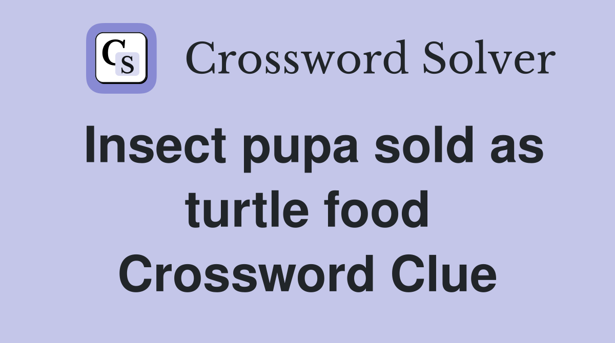 Insect pupa sold as turtle food Crossword Clue