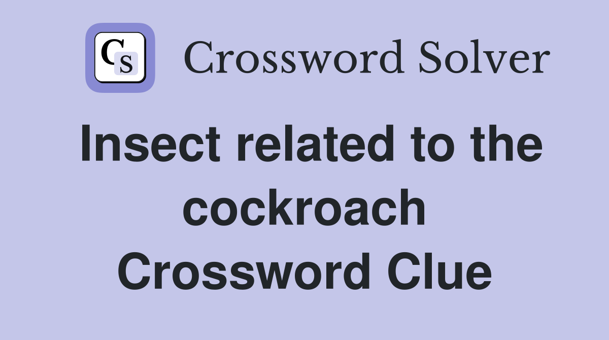 Insect related to the cockroach Crossword Clue