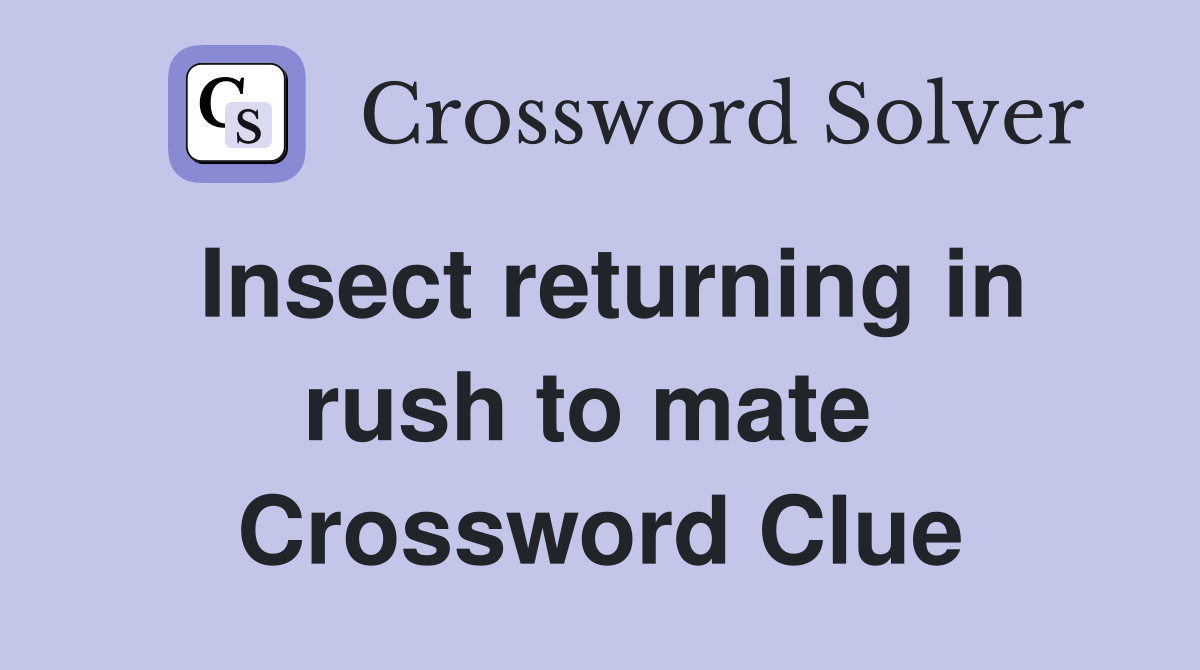 Insect returning in rush to mate  Crossword Clue