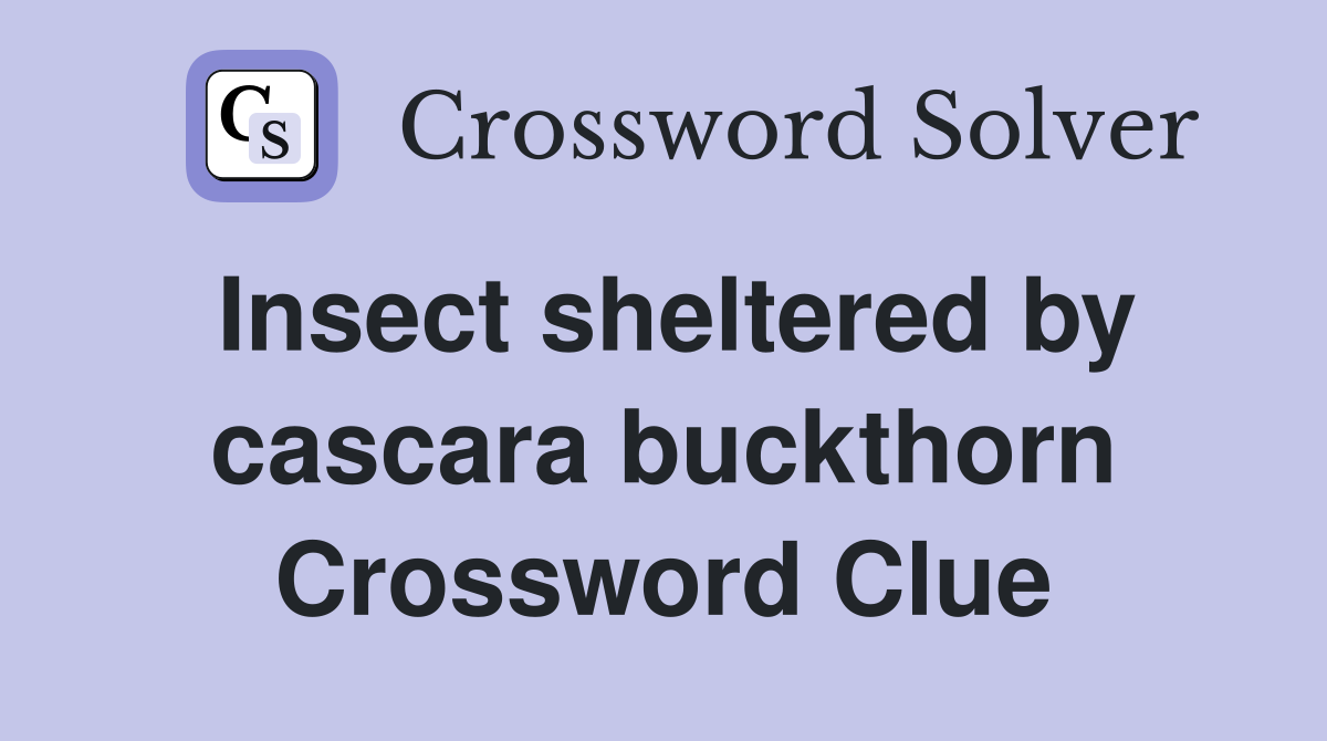 Insect sheltered by cascara buckthorn Crossword Clue