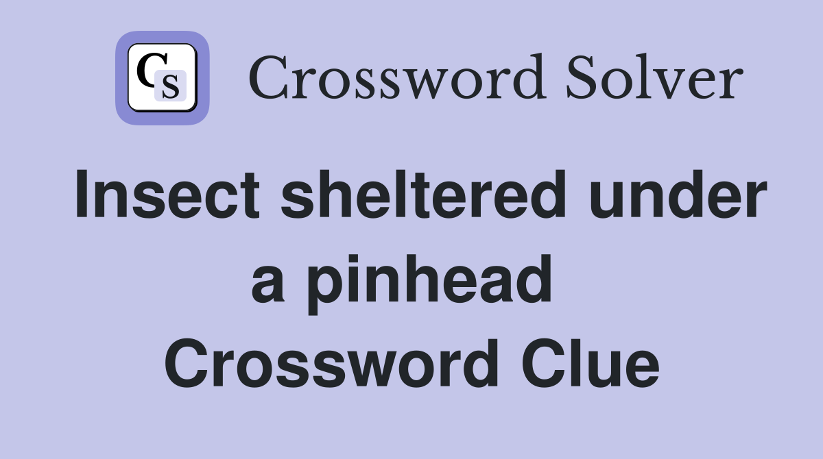 Insect sheltered under a pinhead  Crossword Clue