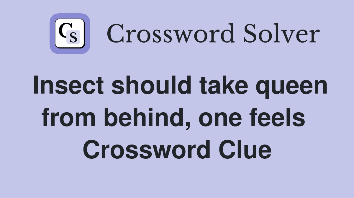Insect should take queen from behind, one feels  Crossword Clue